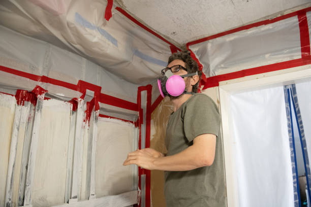 Best Mold Damage Restoration  in Volga, SD