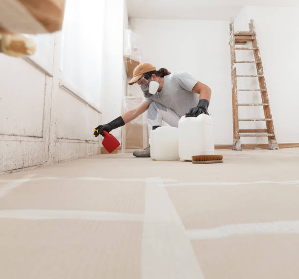 Best Mold Prevention Services  in Volga, SD