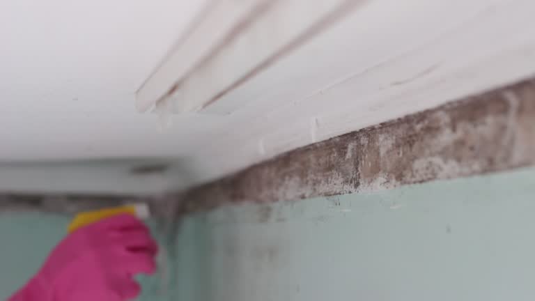 Best Forensic Mold Investigation  in Volga, SD